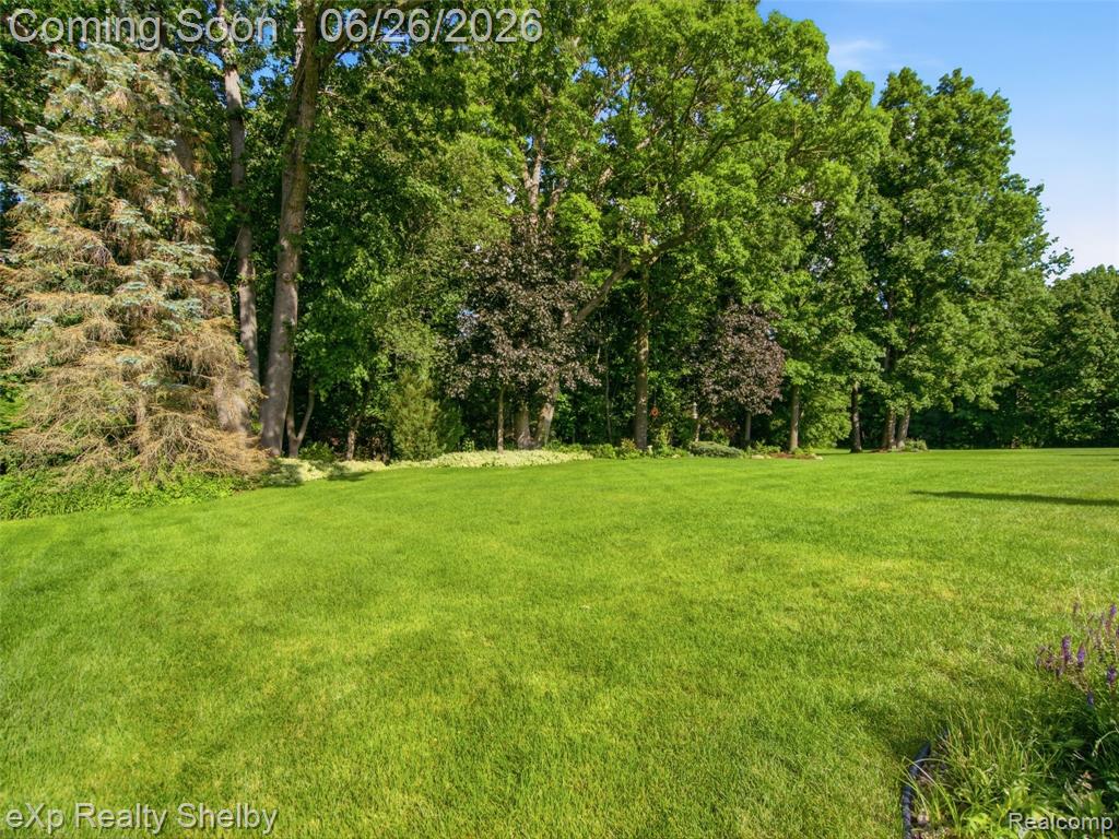 56432 Cromwell Court, Utica, MI 48316 — Photo 49