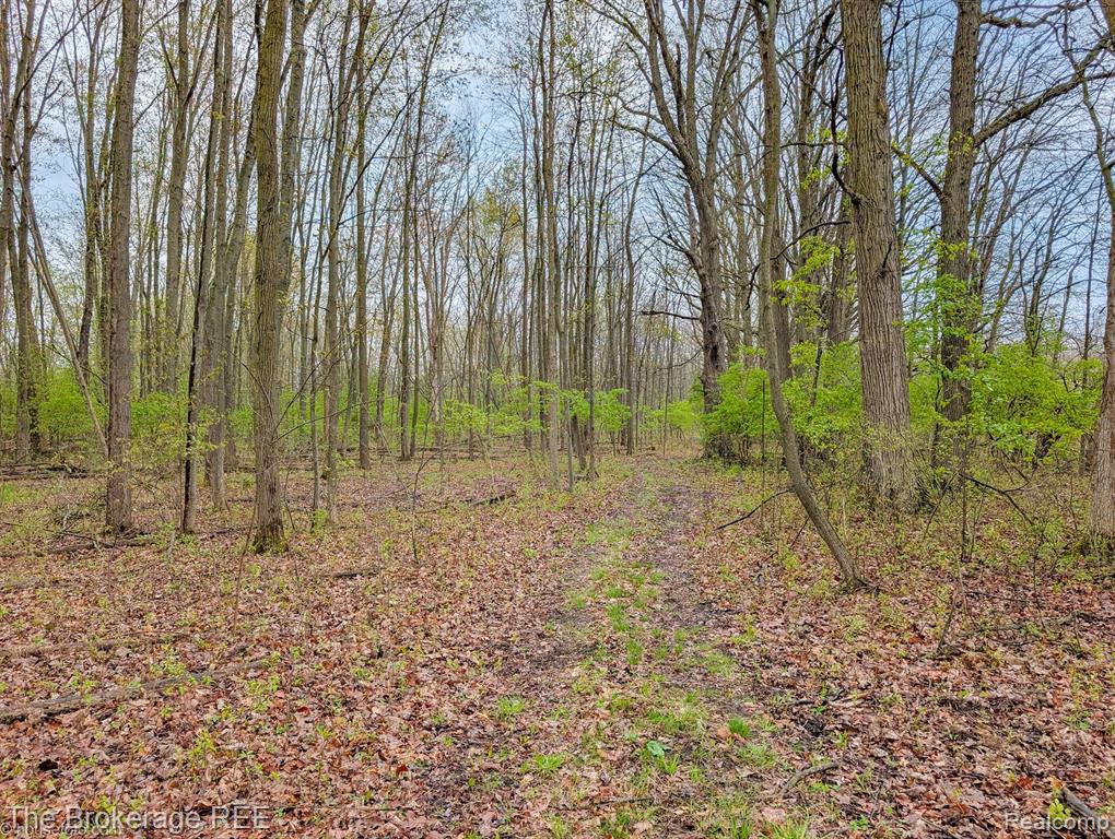 6179 W CARPENTER Road, Flushing, MI 48433 — Photo 23