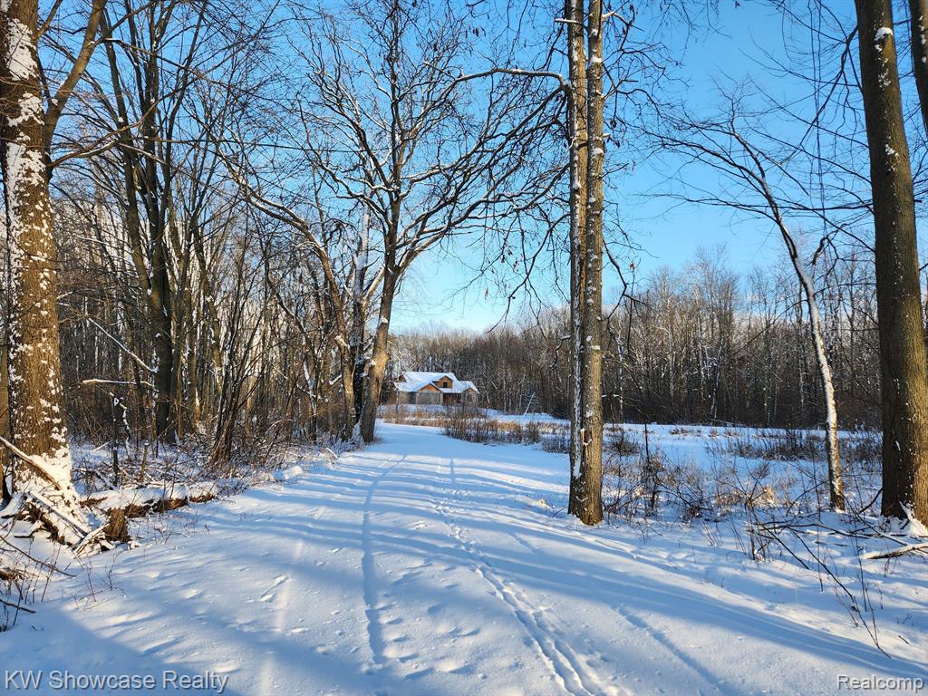 9246 WHITE Road, Linden, MI 48451 — Photo 6