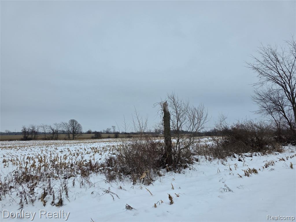 9999 Montgomery, Sanilac, MI 48453 — Photo 8