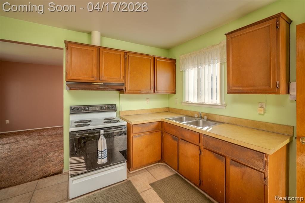 29889 Brown Court, Garden City, MI — Photo 6