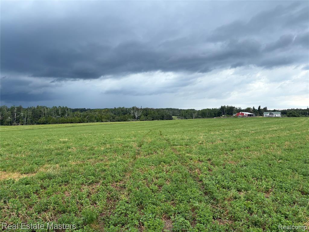 300 W Hubert Road, Spruce, MI — Photo 16