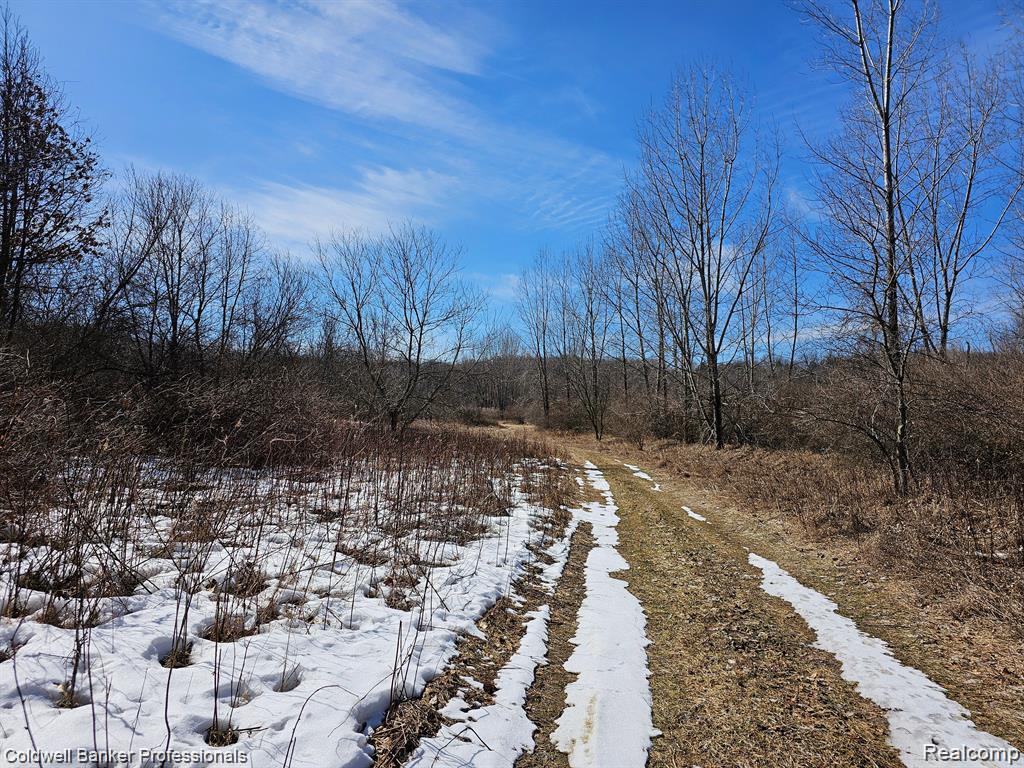 0 Jamestown Drive, Metamora, MI 48455 — Photo 19