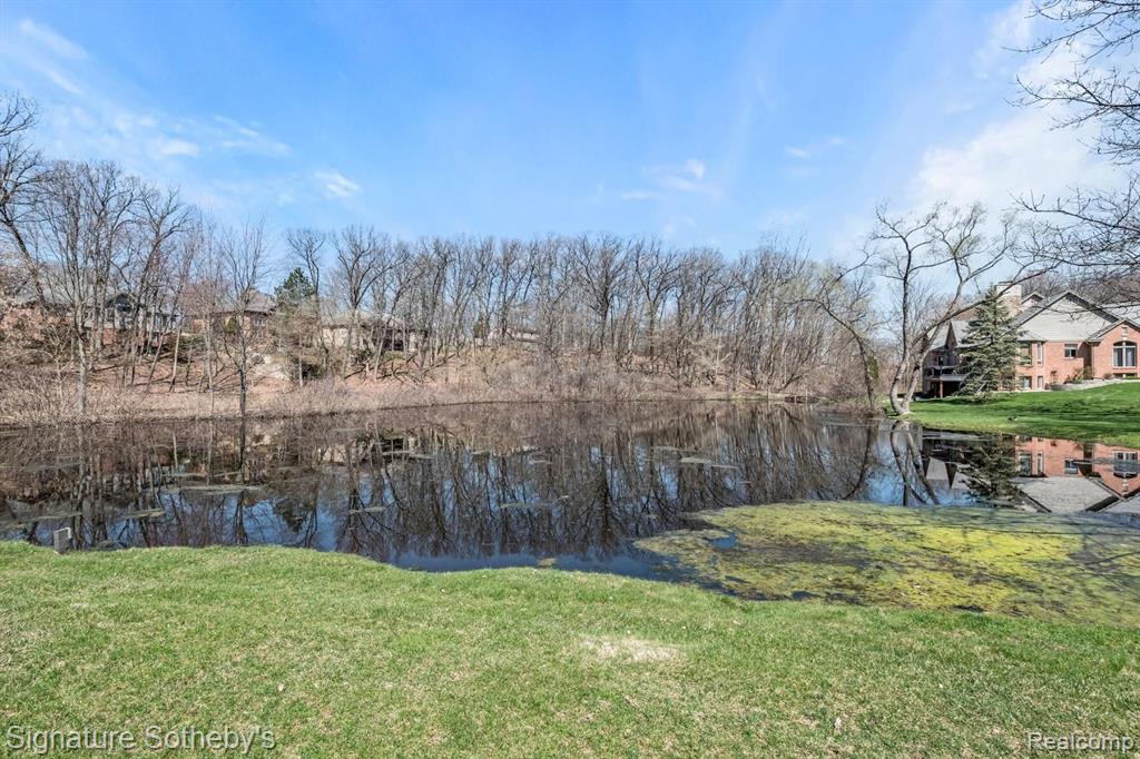 51 CHATEAUX DU LAC, Fenton, MI 48430 — Photo 56