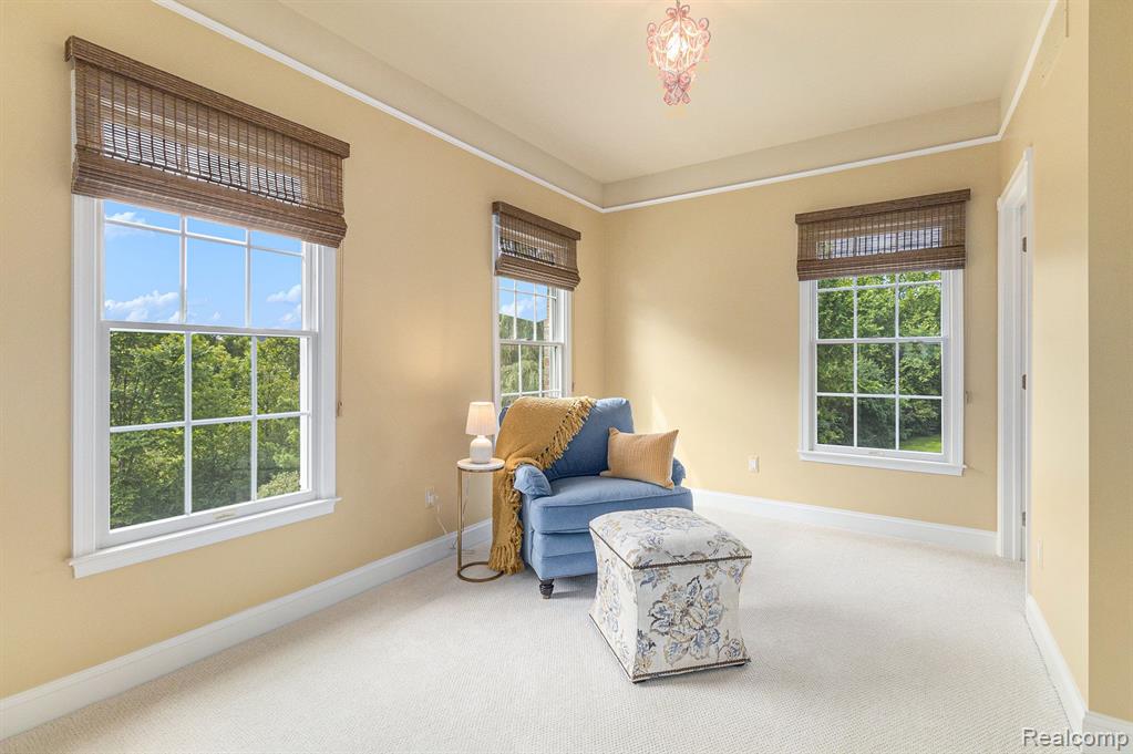 50157 TETON RIDGE Road, Northville, MI 48168 — Photo 53