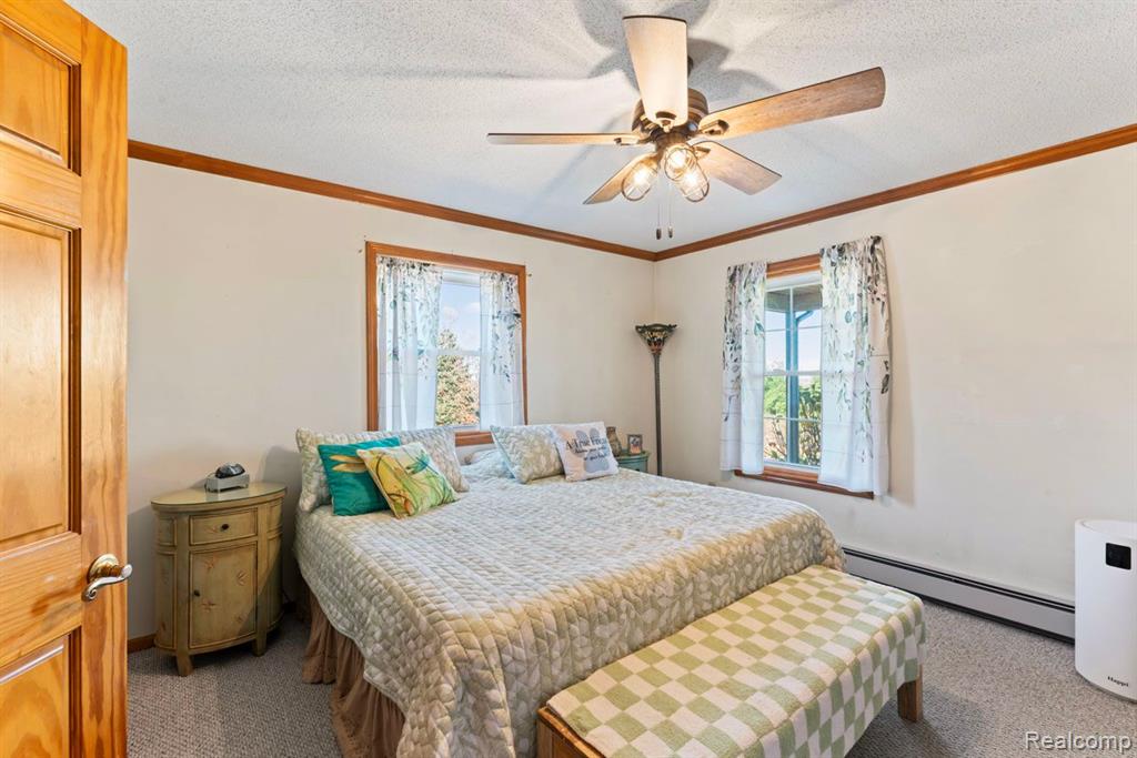 6510 MERTZ Road, Mayville Vlg, MI 48744 — Photo 17