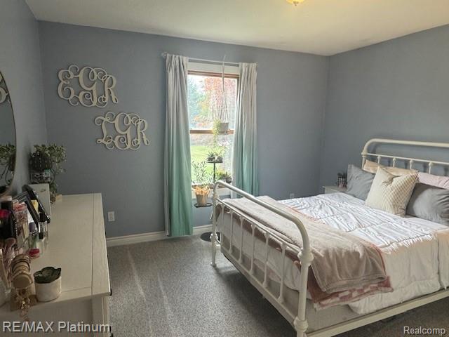 1754 Richards Road, Howell, MI 48855 — Photo 9