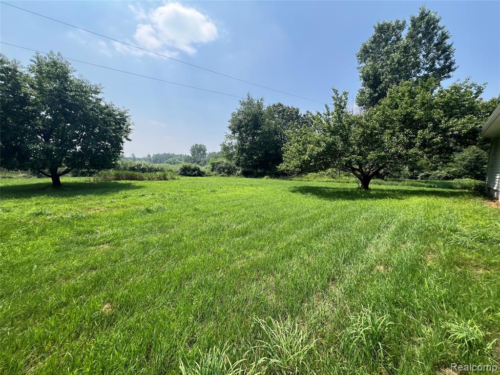 6197 Sober Road, Fowlerville, MI 48836 — Photo 19