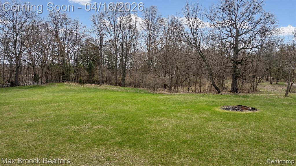 817 Mower Road, Pinckney, MI 48169 — Photo 31