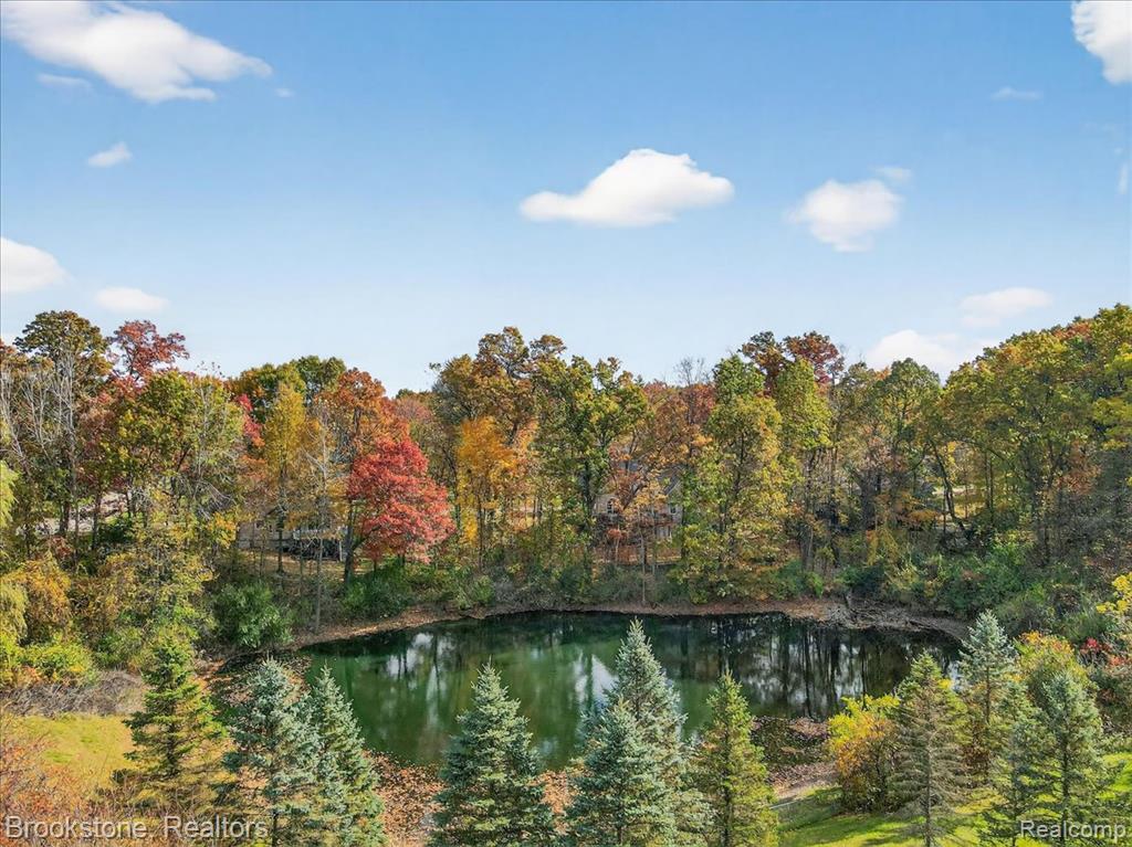 9748 Forest Ridge Drive, Clarkston, MI 48348 — Photo 17