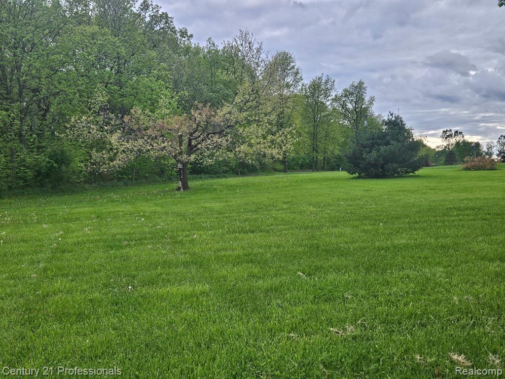 1451 ASHLYN Court, Fowlerville, MI 48836 — Photo 12