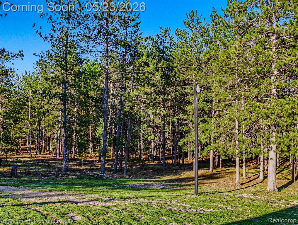 6691 Boone Lane, Vanderbilt, MI 49795 — Photo 29