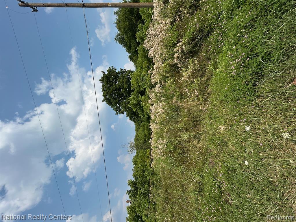 5438 N Henderson Road, Davison, MI 48423 — Photo 11