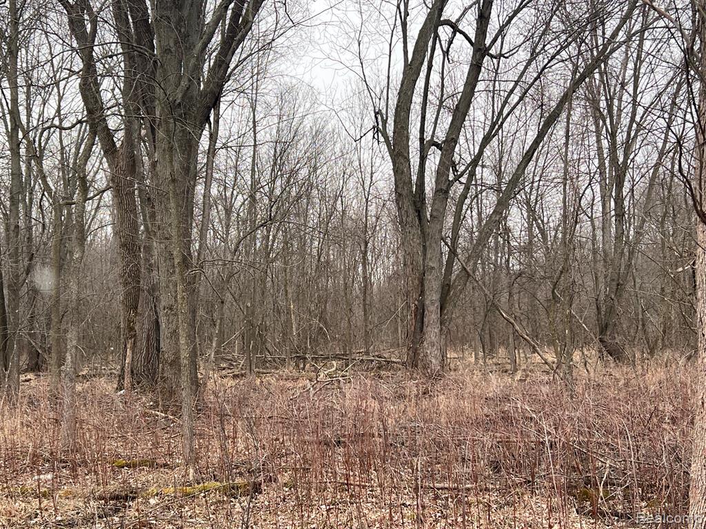 VL Washington Street, Perry, MI 48872 — Photo 15