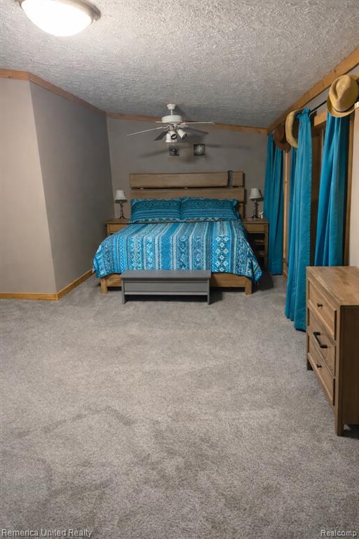 8687 Littlefield Lane, Alanson, MI 49706 — Photo 7