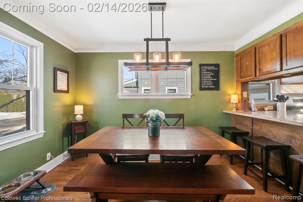 857 Palmer Street, Plymouth, MI 48170 — Photo 19