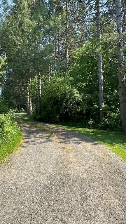 5836 Ewalt Road, Imlay City, MI 48444 — Photo 2