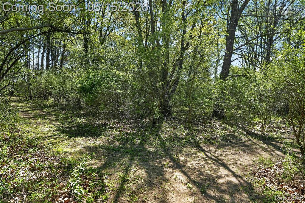 8130 Hinchey Road, Pinckney, MI 48169 — Photo 50