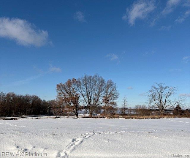 Lot 5 Misty Meadows, Howell, MI 48843 — Photo 3