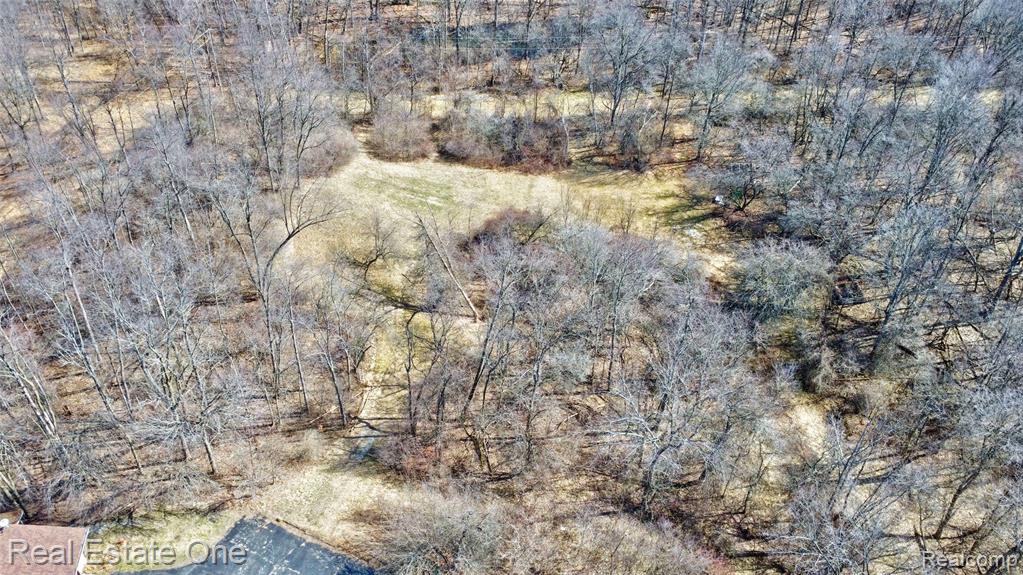 5307 Metamora Road, Metamora, MI 48455 — Photo 64