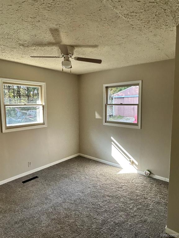 6765 WAGNER Road, Imlay City, MI 48444 — Photo 4