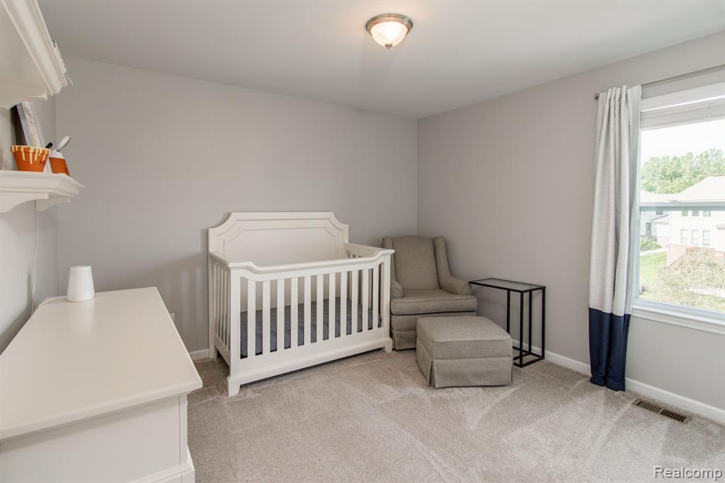58096 SUNFLOWER Circle S, New Hudson, MI 48165 — Photo 10