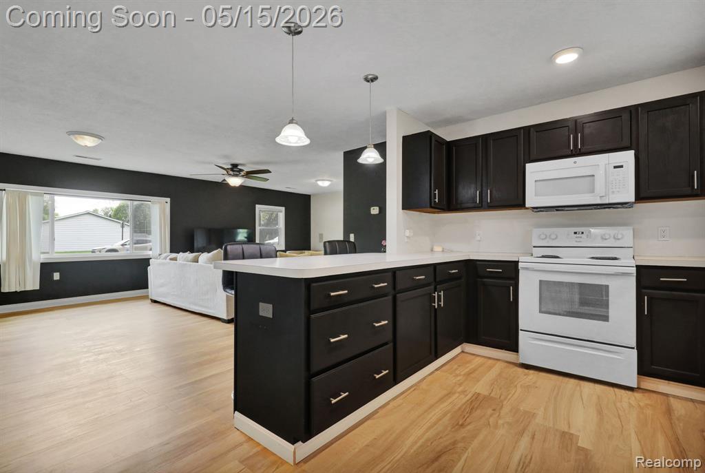 730 Cherry Street, Charlotte, MI 48813 — Photo 15