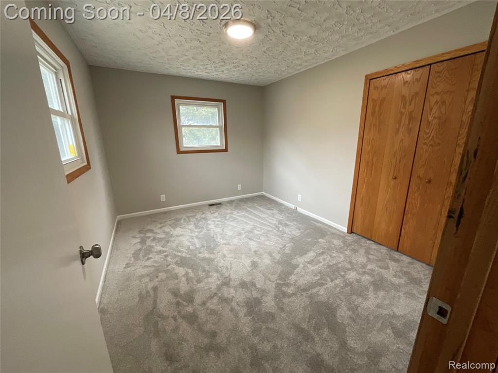5464 Hollow Corners Road, Dryden, MI 48428 — Photo 24