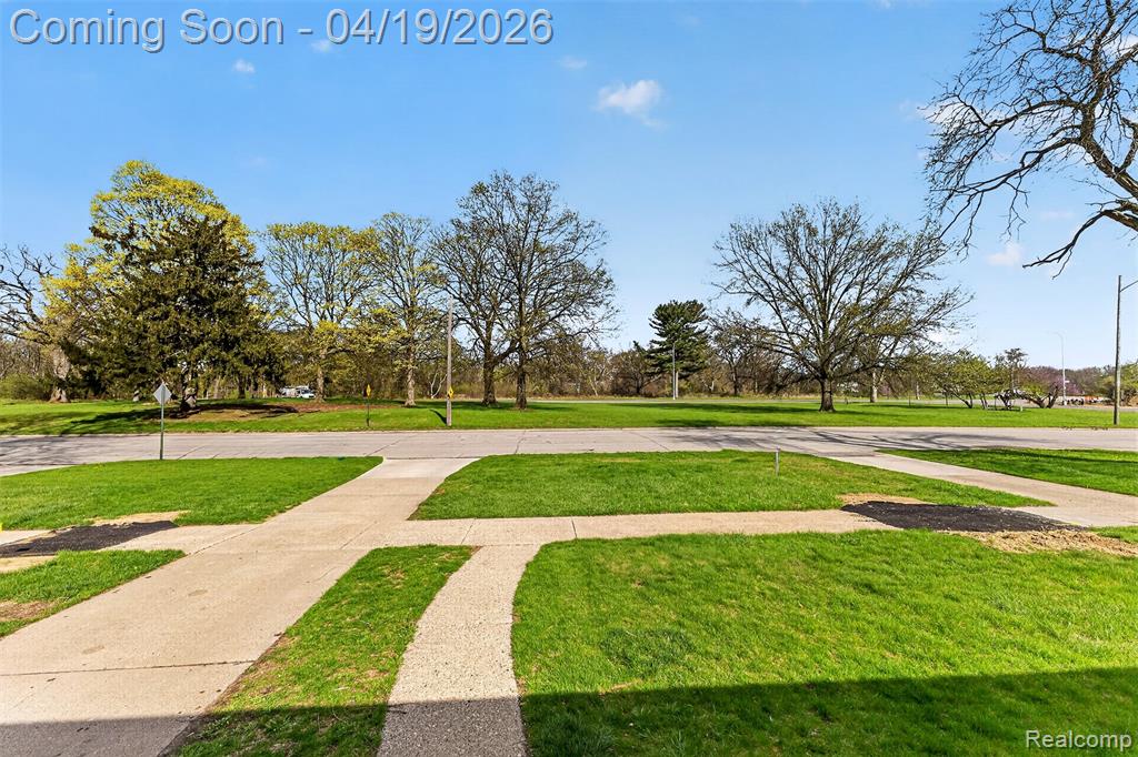 9075 W Parkway Street, Detroit, MI 48239 — Photo 4