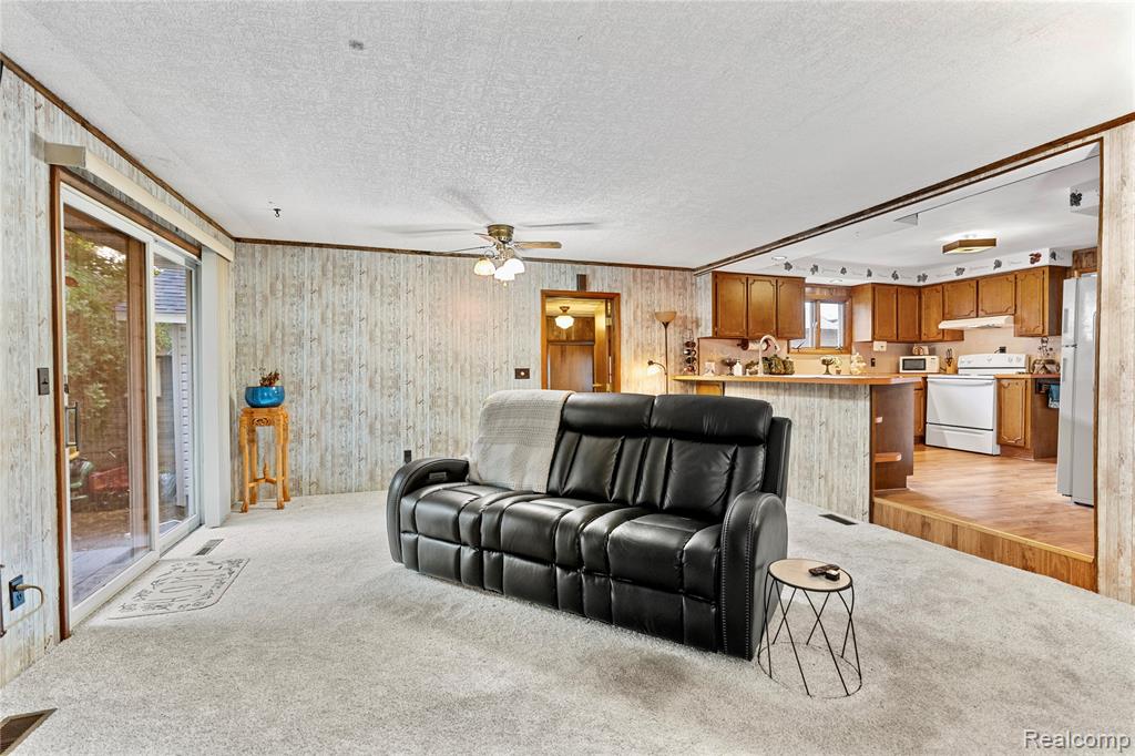 229 W Maple Street, Elsie, MI 48831 — Photo 11