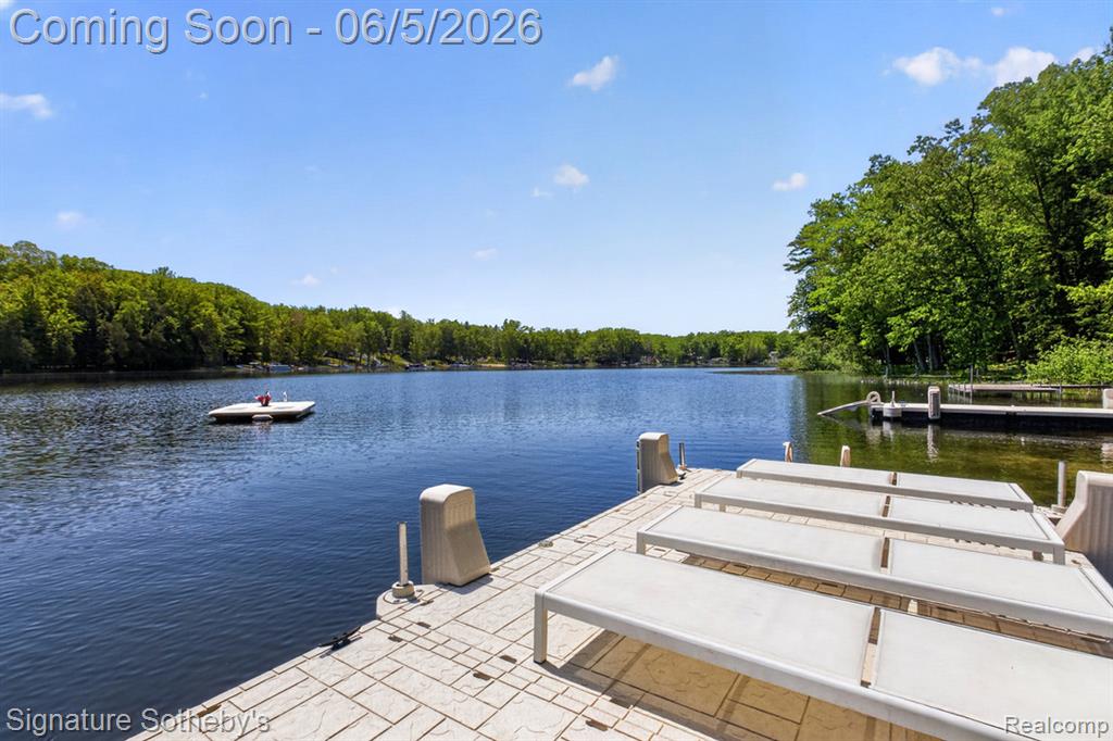 5084 N Birch Avenue, Fountain, MI 49410 — Photo 3