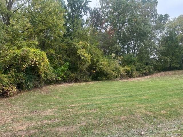 Lot C Chapin Street, Grand Blanc, MI 48507 — Photo 4