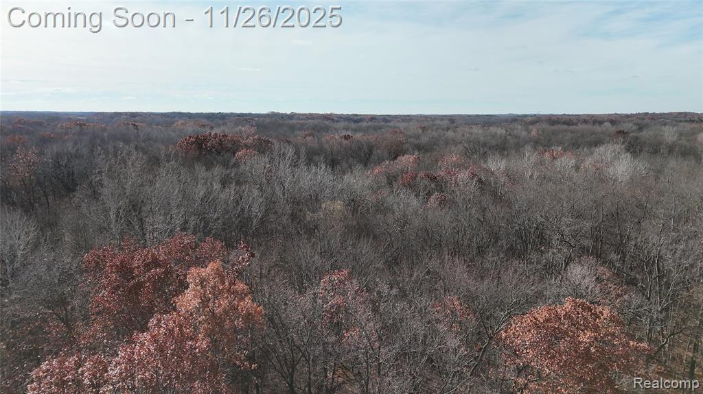 9300 Bath Road, Laingsburg, MI 48848 — Photo 22