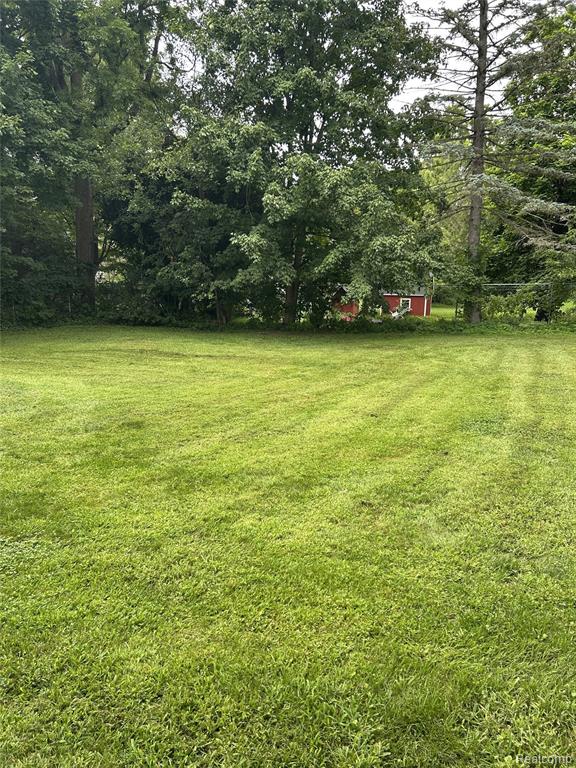 411 Crane Street, Eaton Rapids, MI 48827 — Photo 2
