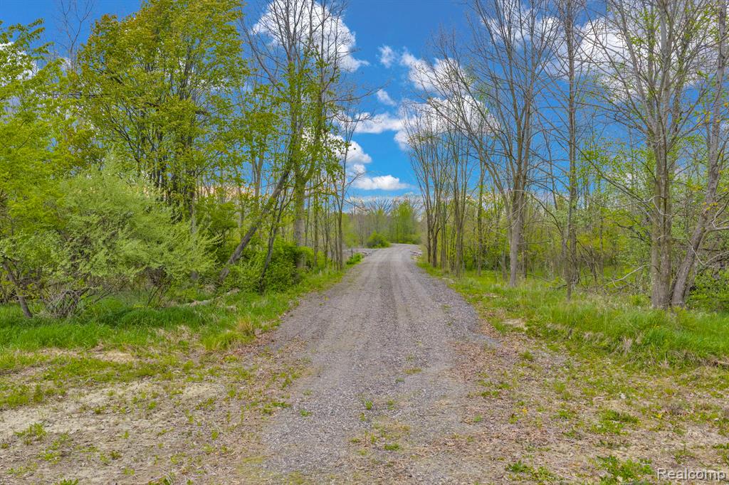 0 Martin Road, Avoca, MI 48014 — Photo 9