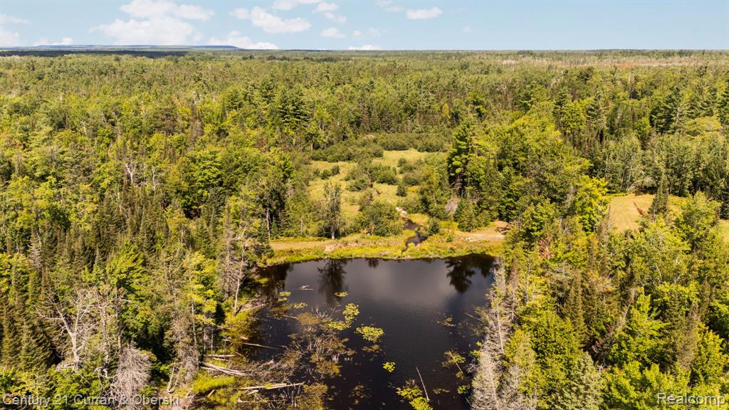 3265 Roost Road - Photo 5