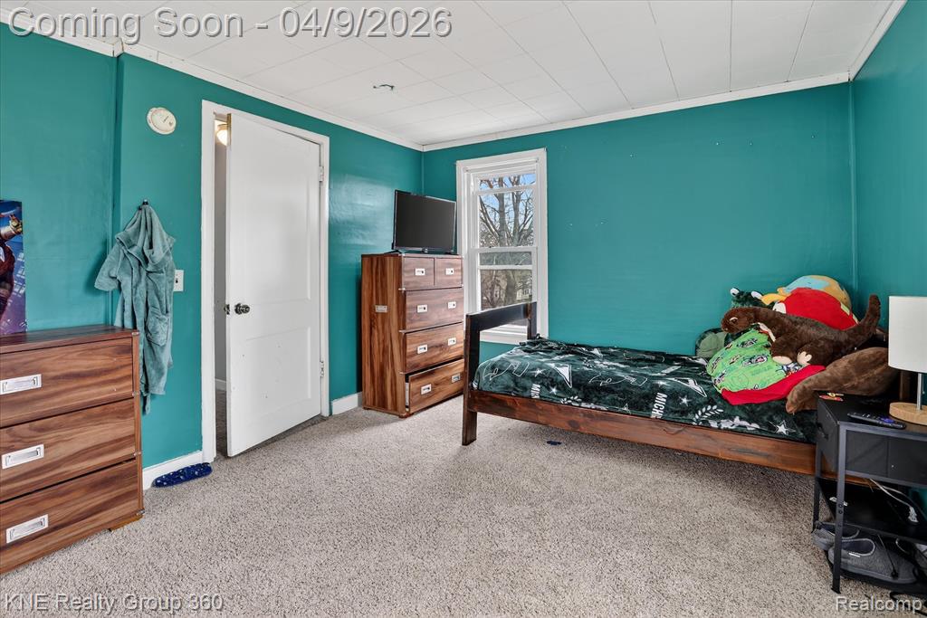 217 Maple Avenue, Alma, MI 48801 — Photo 23
