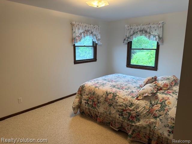 1955 Misty Meadow Lane, Lapeer, MI 48446 — Photo 28