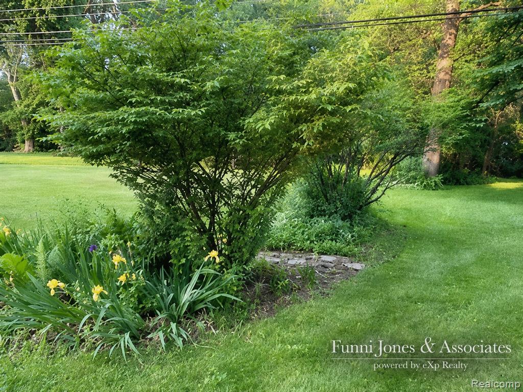 9552 Wayne Road, Livonia, MI 48150 — Photo 24
