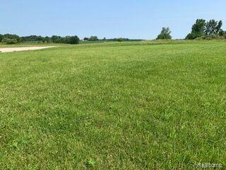 Lot 1 Misty Meadow Road, Howell, MI 48843 — Photo 5