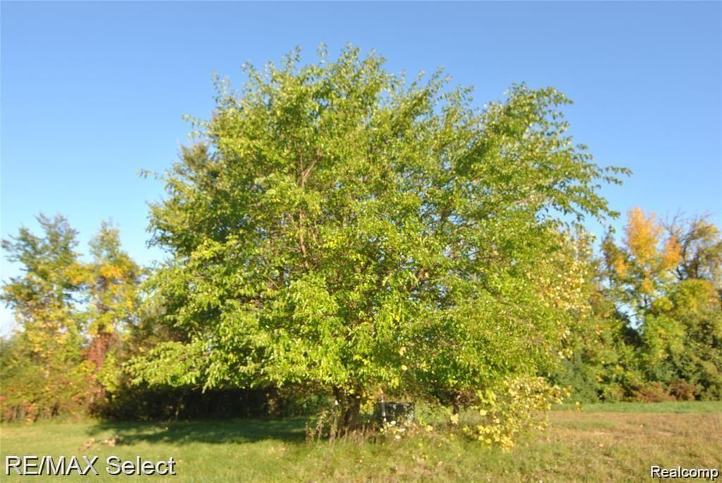 6483 BAY, Saginaw, MI 48604 — Photo 8