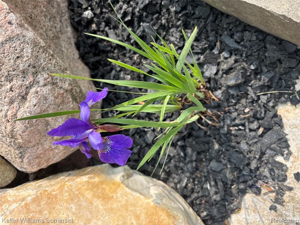 328 Hidden E, Holly, MI 48442 — Photo 79