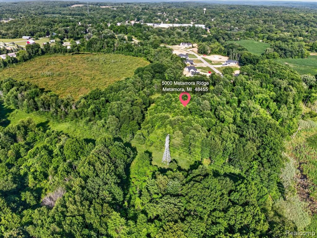 5000 Metamora Ridge, Metamora, MI 48455 — Photo 15