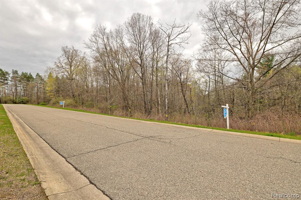 313 Dogwood Lane, Ortonville, MI 48462 — Photo 25