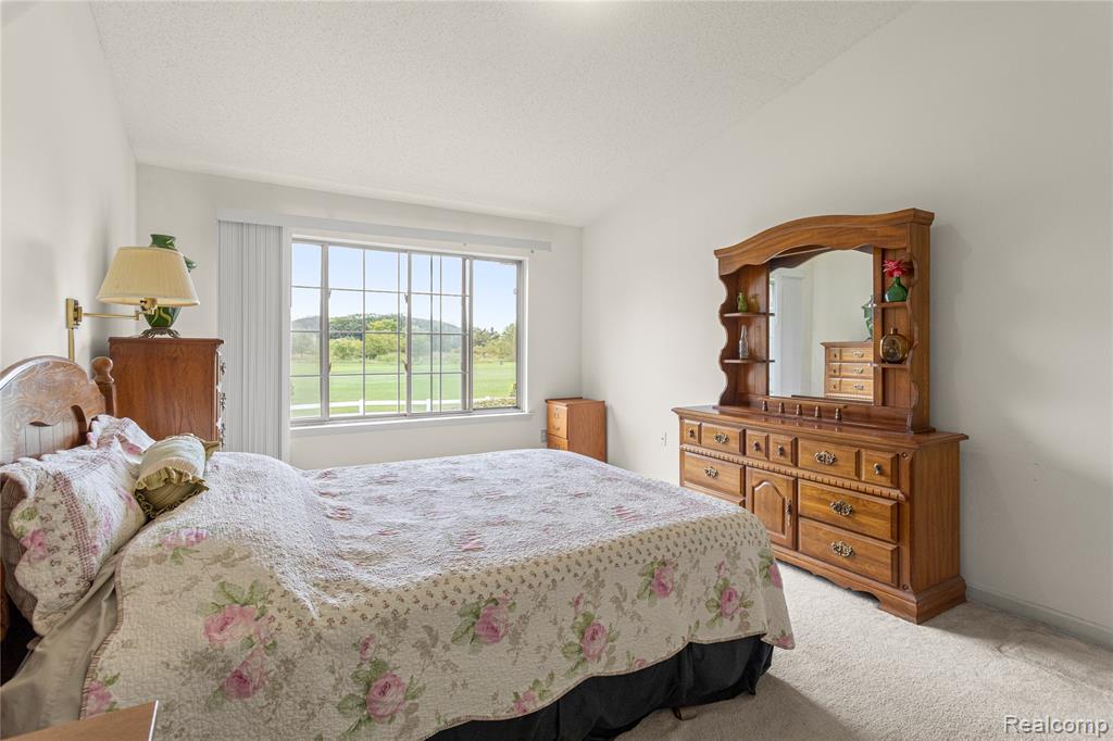 1919 Pebble Creek Drive, Canton, MI 48188 — Photo 10