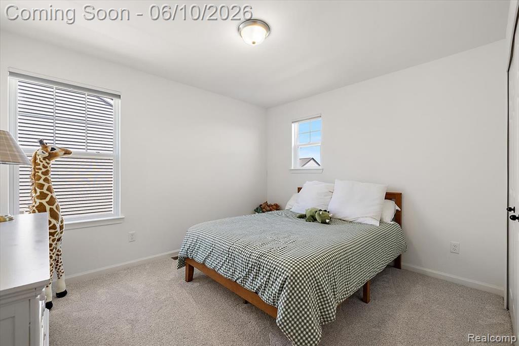 71471 Julius Drive, Romeo, MI 48065 — Photo 24