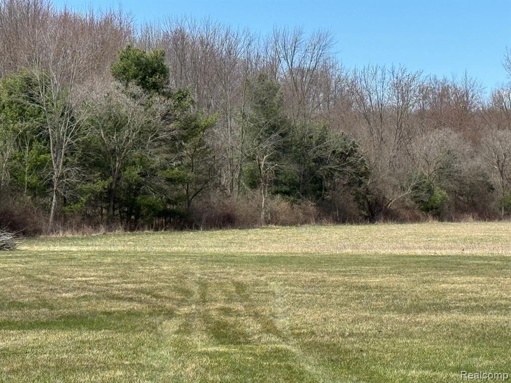 7188 Reid Road, Swartz Creek, MI 48473 — Photo 39