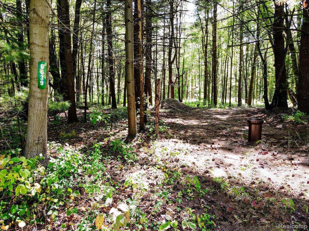 6639 DOVE Road, Kimball, MI — Photo 2