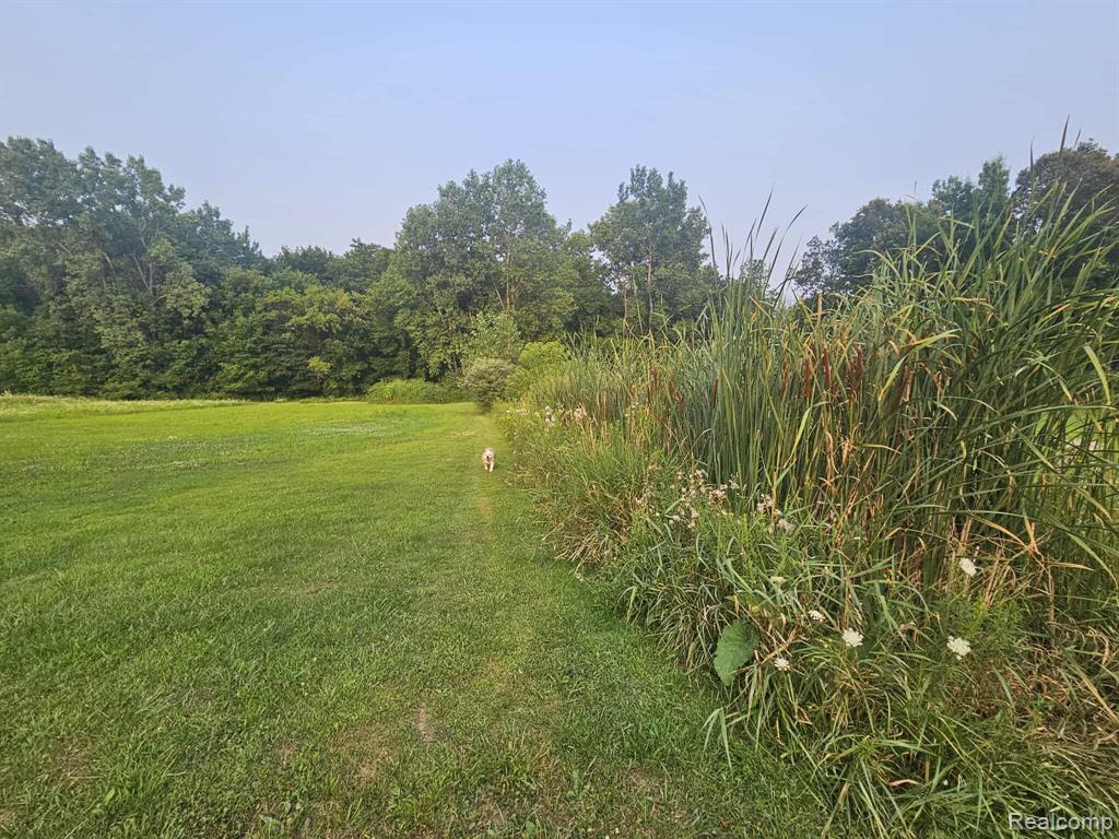3490 Levalley Road, Columbiaville, MI 48421 — Photo 17