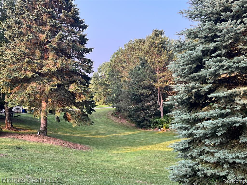 9306 DODGE Road, Otisville, MI 48463 — Photo 48